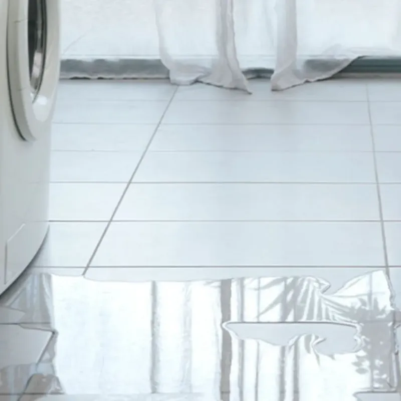Appliance Leak Cleanup in Saint Joseph County, MI