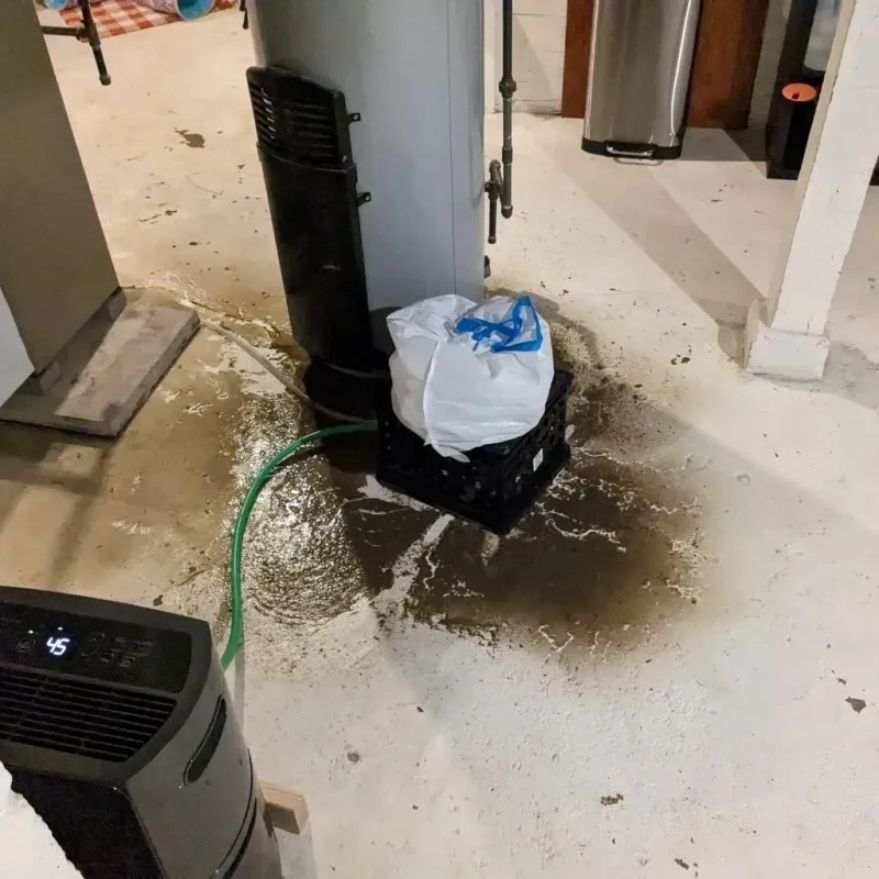 Sewage Backup Cleanup Service in Saint Joseph County, MI